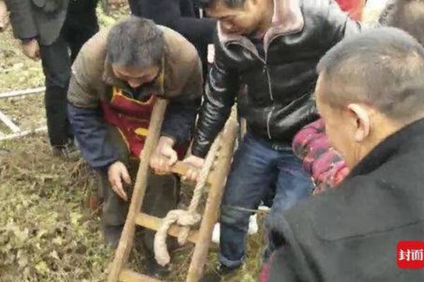 古墓贼影中国盗墓史全记录